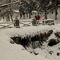 В Павловском парке