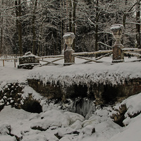 В Павловском парке