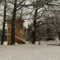 В Павловском парке