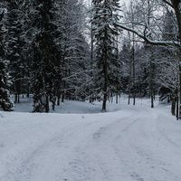 Павловский парк