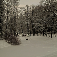 Павловский парк