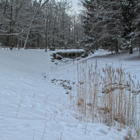 Павловский парк