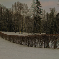 Павловский парк