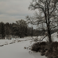 Павловский парк