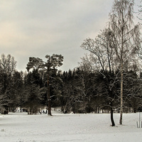 Павловский парк