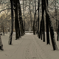 Павловский парк