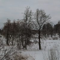 Долина реки Тызьвы