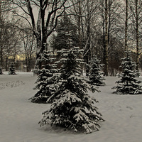 Сквер в Павловске