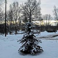 В Павловске