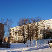 Ступино, Службина улица