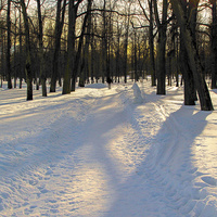Александровский парк