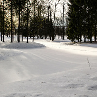 Екатерининский парк