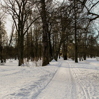 Екатерининский парк