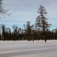 Екатерининский парк