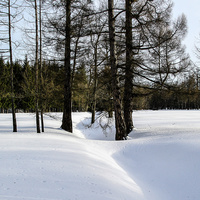 Екатерининский парк