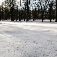 Екатерининский парк