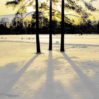 Екатерининский парк