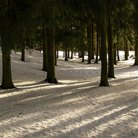 Екатерининский парк