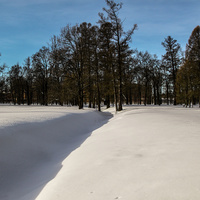 Екатерининский парк