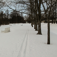 Александровский парк