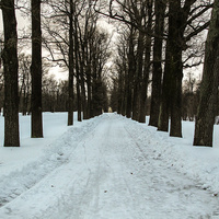 Александровский парк