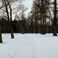 Александровский парк