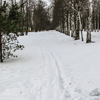 Александровский парк