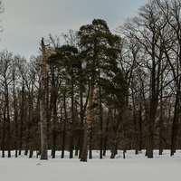 Александровский парк