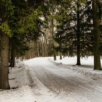 Александровский парк