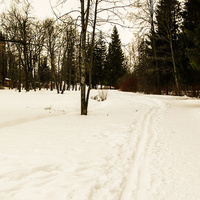 Александровский парк