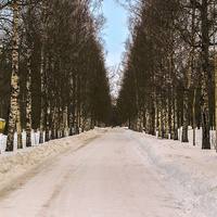 Аллея в парке