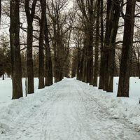 Аллея в парке