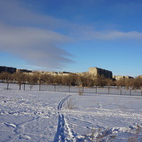 Зимний парк.