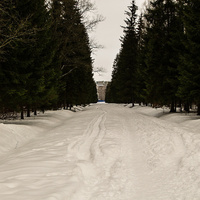 Александровский парк