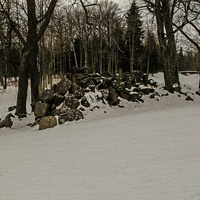 Александровский парк