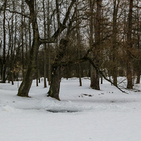 Александровский парк