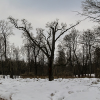 Александровский парк