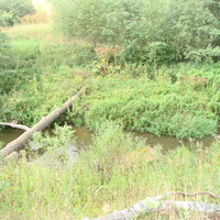 Ежовка. Река Вичужанка 2009 г.
