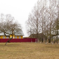 Дом в деревне Петровичи.