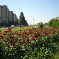Армянск в цветах