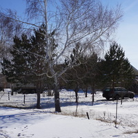 На Ялтинской.