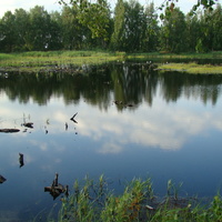 торфяное озеро