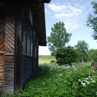 Д.Югра. Лето 2015