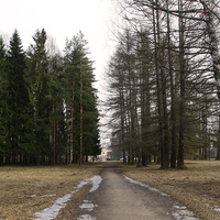 Павловский парк