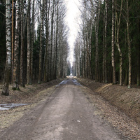 Павловский парк