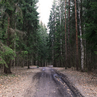 Павловский парк