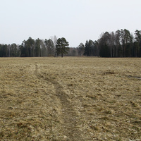 Павловский парк