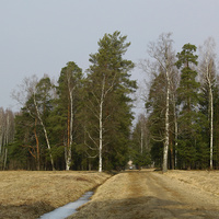 Павловский парк