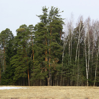 Павловский парк