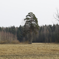 Павловский парк